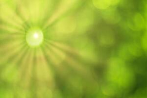 Blurred bokeh background image of bright green foliage and sunbeams in spring or summer. photo
