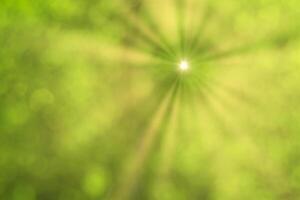 Blurred bokeh background image of bright green foliage and sunbeams in spring or summer. photo