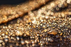 Dew drops on an autumn fallen leaf, shimmering in the sun, shot in close-up with bokeh. Abstract macro background. photo