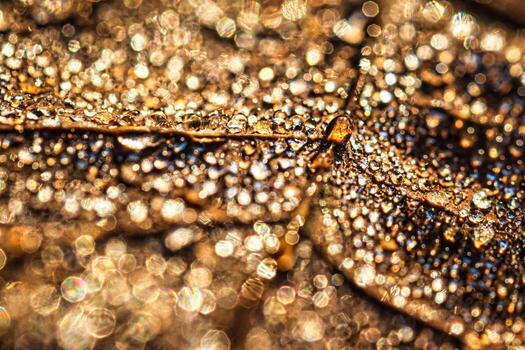 Dew drops on an autumn fallen leaf, shimmering in the sun, shot in close-up with bokeh. Abstract macro background. photo