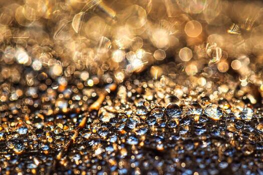 Dew drops on an autumn fallen leaf, shimmering in the sun, shot in close-up with bokeh. Abstract macro background. photo