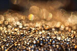 Dew drops on an autumn fallen leaf, shimmering in the sun, shot in close-up with bokeh. Abstract macro background. photo