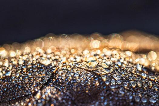 Dew drops on an autumn fallen leaf, shimmering in the sun, shot in close-up with bokeh. Abstract macro background. photo