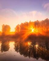 Misty sunrise on the pond in the autumn morning. Trees with rays of the sun cutting through the branches, reflected in the water. photo
