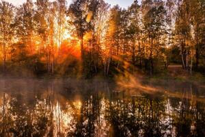 Misty sunrise on the pond in the autumn morning. Trees with rays of the sun cutting through the branches, reflected in the water. photo