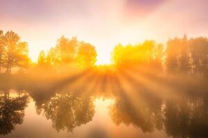 Misty sunrise on the pond in the autumn morning. Trees with rays of the sun cutting through the branches, reflected in the water. photo