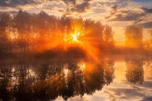 Misty sunrise on the pond in the autumn morning. Trees with rays of the sun cutting through the branches, reflected in the water. photo