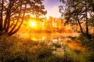 Misty sunrise on the pond in the autumn morning. Birch trees with rays of the sun cutting through the branches, reflected in the water. photo