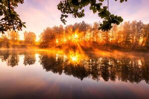 Misty sunrise on the pond in the autumn morning. Trees with rays of the sun cutting through the branches, reflected in the water. photo