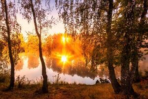 Misty sunrise on the pond in the autumn morning. Birch trees with rays of the sun cutting through the branches, reflected in the water. photo