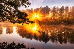 Misty sunrise on the pond in the autumn morning. Trees with rays of the sun cutting through the branches, reflected in the water. photo