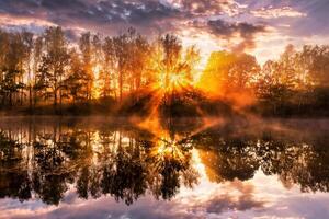 Misty sunrise on the pond in the autumn morning. Trees with rays of the sun cutting through the branches, reflected in the water. photo