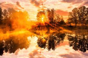Misty sunrise on the pond in the autumn morning. Trees with rays of the sun cutting through the branches, reflected in the water. photo