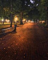 A night park lit by lanterns with a stone pavement, trees, fallen leaves and benches in early autumn. photo