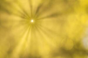 Blurred bokeh background image of bright yellow foliage and sunbeams in autumn. photo