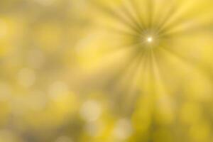 Blurred bokeh background image of bright yellow foliage and sunbeams in autumn. photo
