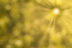 Blurred bokeh background image of bright yellow foliage and sunbeams in autumn. photo