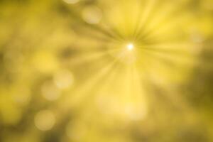 Blurred bokeh background image of bright yellow foliage and sunbeams in autumn. photo