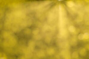 Blurred bokeh background image of bright yellow foliage and sunbeams in autumn. photo