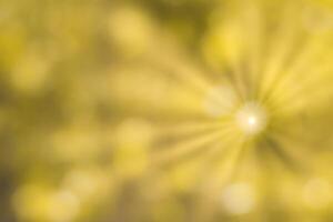 Blurred bokeh background image of bright yellow foliage and sunbeams in autumn. photo