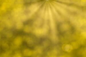 Blurred bokeh background image of bright yellow foliage and sunbeams in autumn. photo