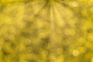 Blurred bokeh background image of bright yellow foliage and sunbeams in autumn. photo
