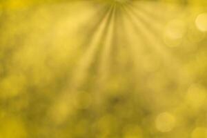 Blurred bokeh background image of bright yellow foliage and sunbeams in autumn. photo