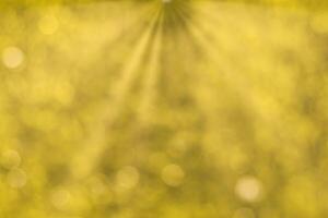 Blurred bokeh background image of bright yellow foliage and sunbeams in autumn. photo