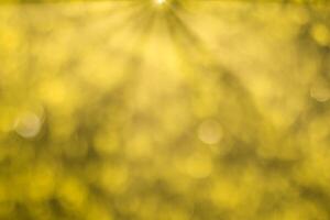 Blurred bokeh background image of bright yellow foliage and sunbeams in autumn. photo