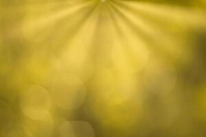 Blurred bokeh background image of bright yellow foliage and sunbeams in autumn. photo