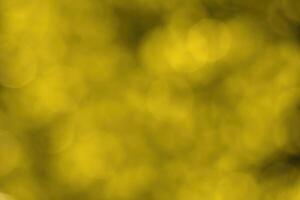 Blurred bokeh background image of bright yellow foliage in golden autumn. photo