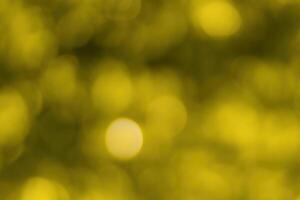 Blurred bokeh background image of bright yellow foliage in golden autumn. photo