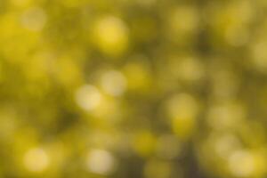 Blurred bokeh background image of bright yellow foliage in golden autumn. photo