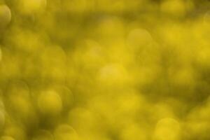Blurred bokeh background image of bright yellow foliage in golden autumn. photo