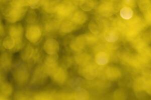 Blurred bokeh background image of bright yellow foliage in golden autumn. photo