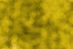 Blurred bokeh background image of bright yellow foliage in golden autumn. photo