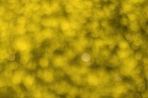 borroso bokeh antecedentes imagen de brillante amarillo follaje en dorado otoño. foto
