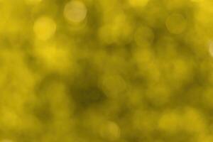 Blurred bokeh background image of bright yellow foliage in golden autumn. photo