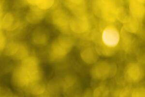 Blurred bokeh background image of bright yellow foliage in golden autumn. photo