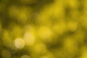 Blurred bokeh background image of bright yellow foliage in golden autumn. photo
