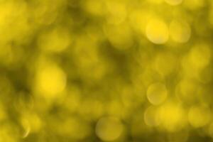 Blurred bokeh background image of bright yellow foliage in golden autumn. photo