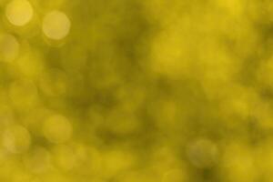 Blurred bokeh background image of bright yellow foliage in golden autumn. photo