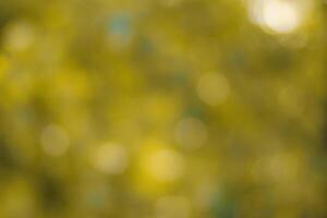 Blurred bokeh background image of bright yellow foliage in golden autumn. photo