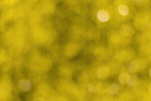 Blurred bokeh background image of bright yellow foliage in golden autumn. photo