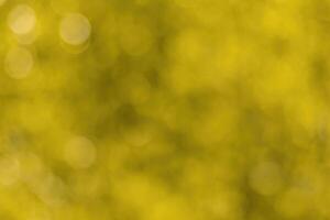 Blurred bokeh background image of bright yellow foliage in golden autumn. photo