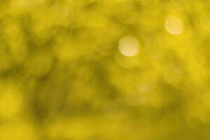 Blurred bokeh background image of bright yellow foliage in golden autumn. photo