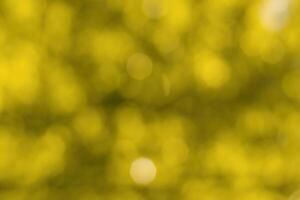 Blurred bokeh background image of bright yellow foliage in golden autumn. photo