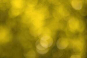 Blurred bokeh background image of bright yellow foliage in golden autumn. photo