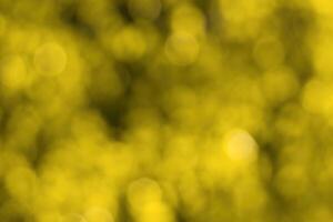 Blurred bokeh background image of bright yellow foliage in golden autumn. photo