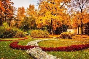 Golden autumn in a city park with trees and fallen leaves on a cloudy day. photo